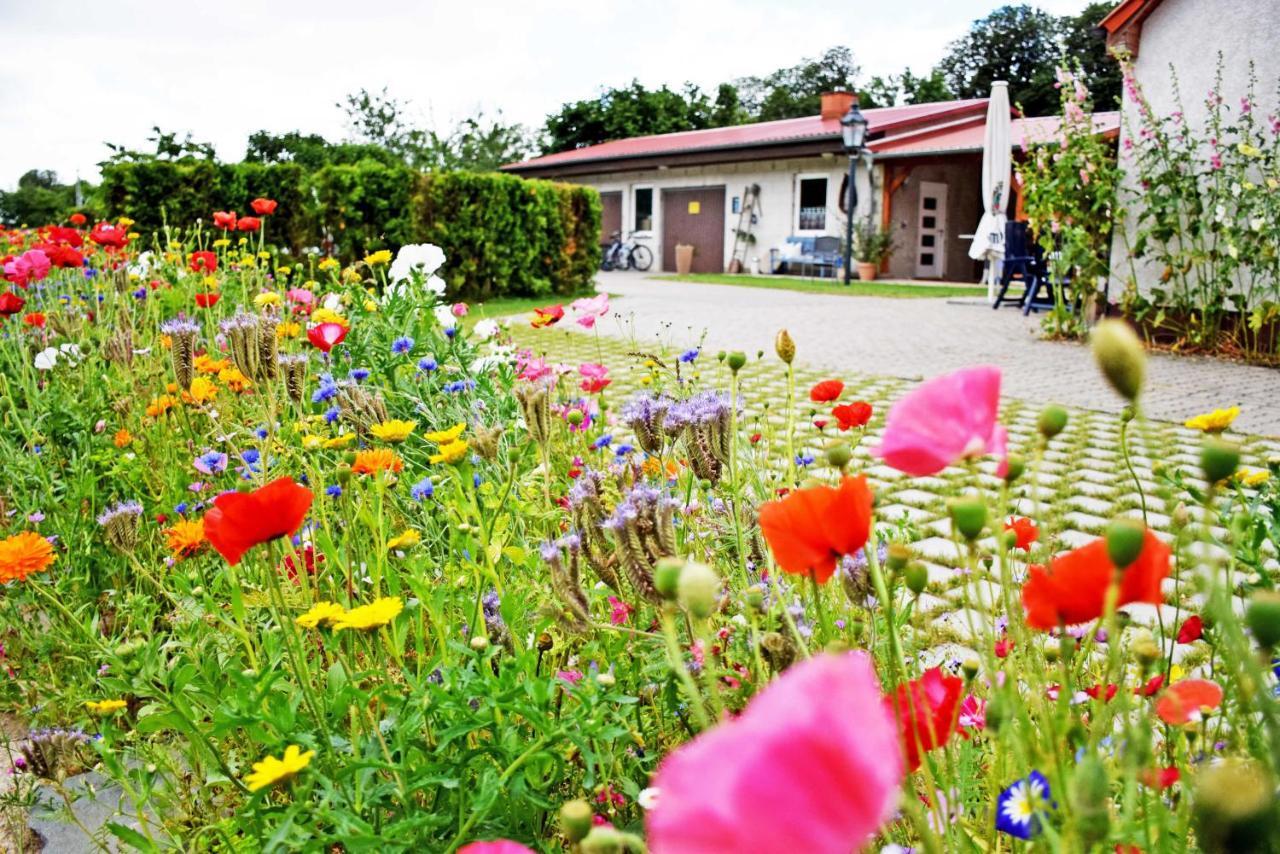 Ferienwohnungen Auf Dem Pommernhof Samtens Luaran gambar