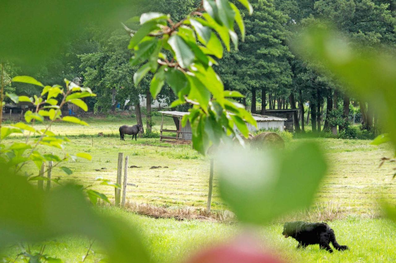 Ferienwohnungen Auf Dem Pommernhof Samtens Luaran gambar